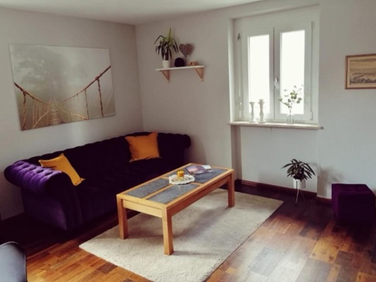 Ferienwohnung Suedschwarzwald Wehr  Exteriör bild