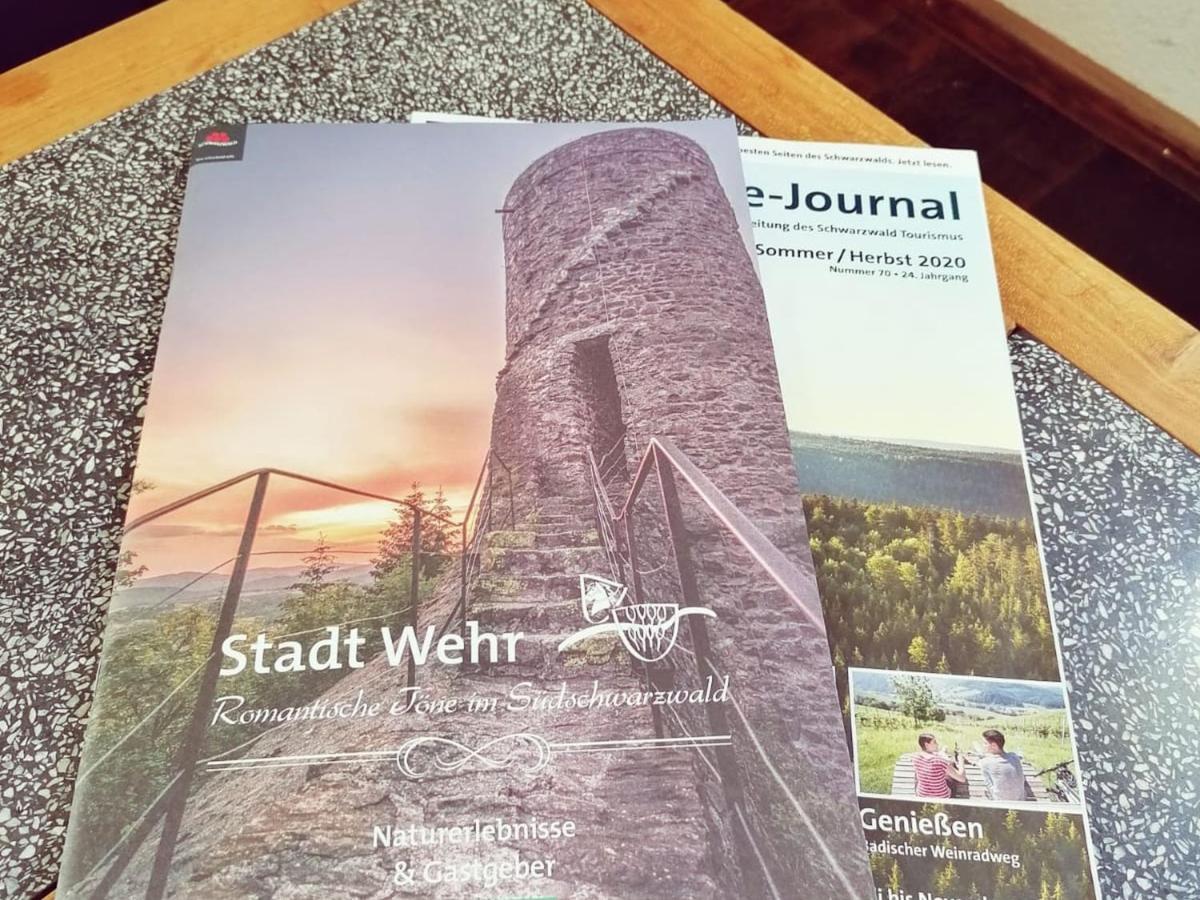 Ferienwohnung Suedschwarzwald Wehr  Exteriör bild